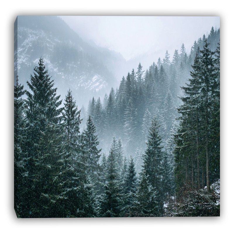 Art mural sur toile Misty Mountain Forest, H 12 po x l 12 po