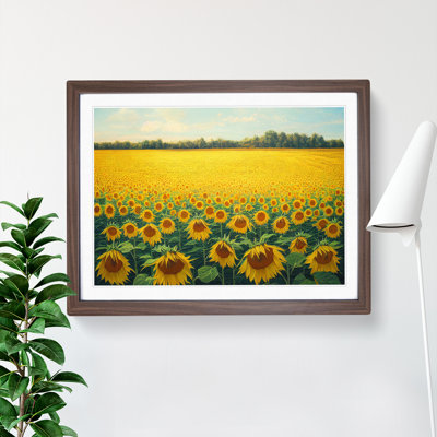 Traditional Sunflower Field - Framed Print