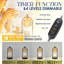 Lampe de chauffe-bougie avec minuterie