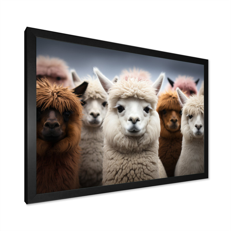 Alpacas Graceful Fibers - Imprimé, H 34 po x l 44 po x P 1,5 po, Cadre photo noir