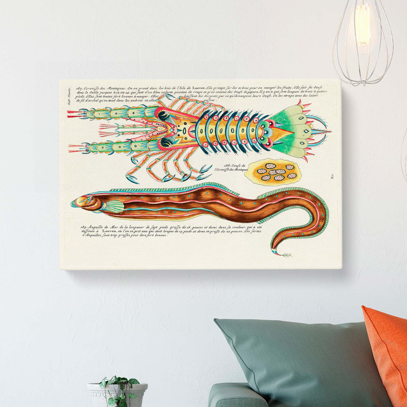 East Indies Fish & Lobster Illustrations XLV by Louis Renard - Wrapped Canvas Painting, 40cm H x 60cm W x 3cm D