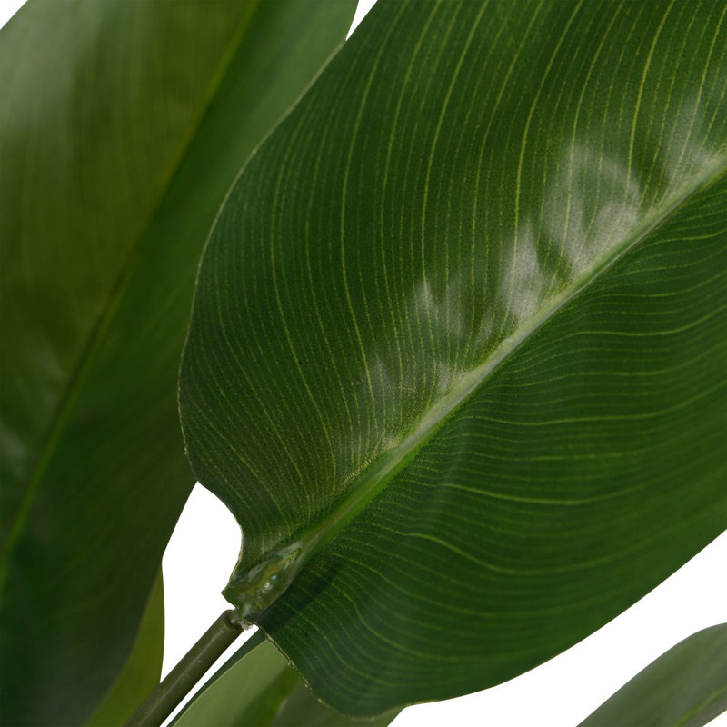Anastos 70 cm H Faux Plant