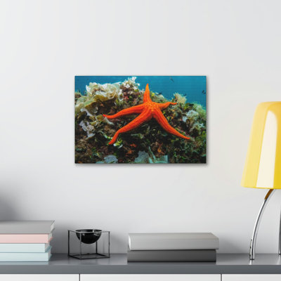 Wall Art on Canvas
