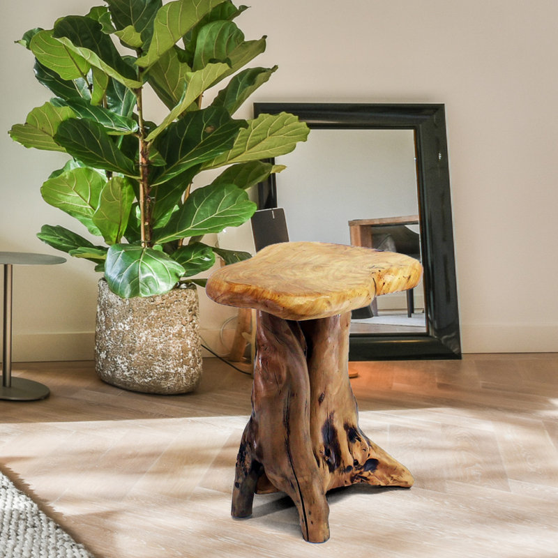Natural Tree Stump End Table