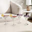 295.7ml Silver Margarita Glass