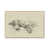 Natural Wood Framed Paper Print is unavailable