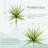33" Artificial Ground Inserted Agave Plants-1771171012