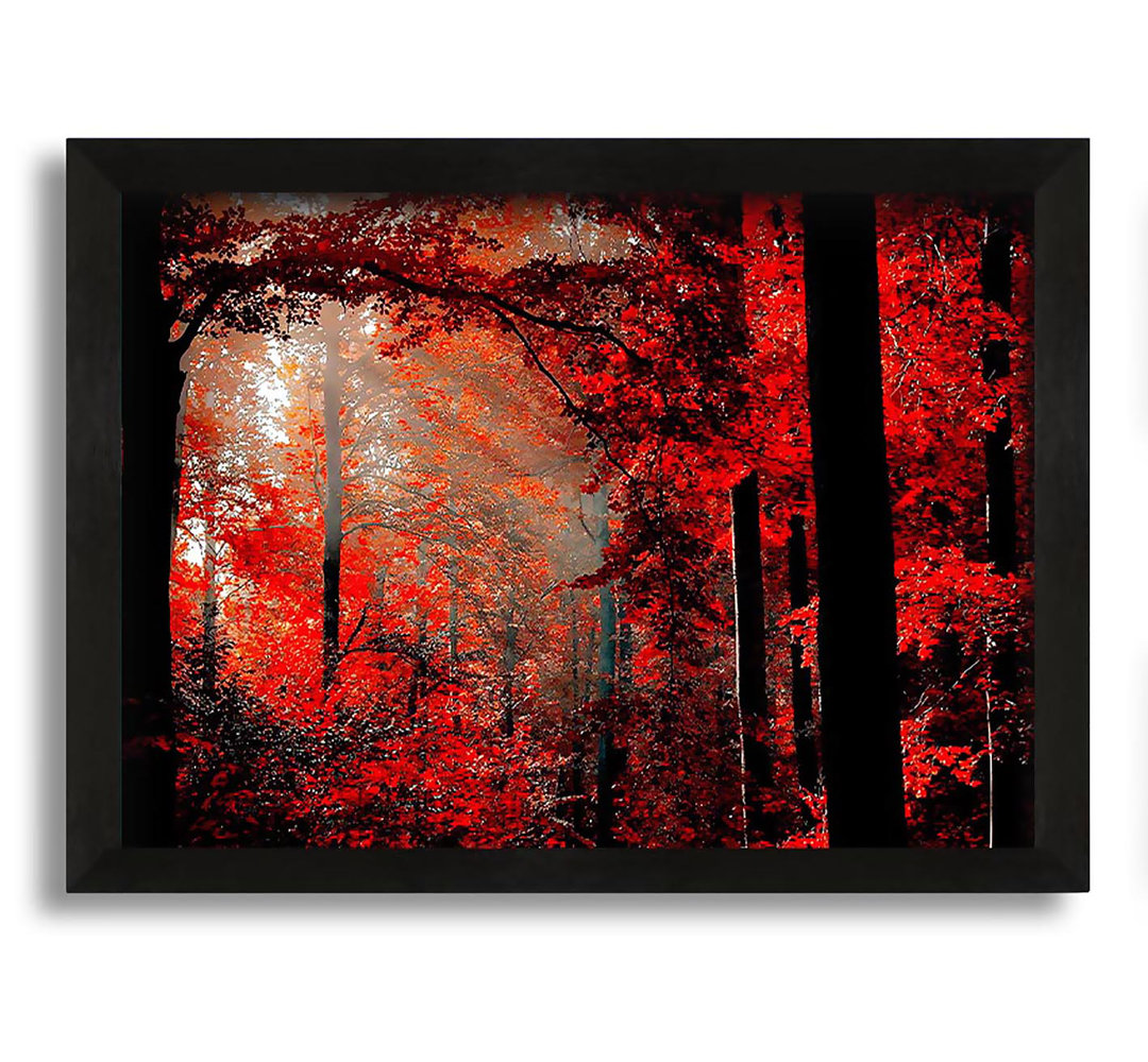 Gerahmtes Leinwandbild Red Forest Delight