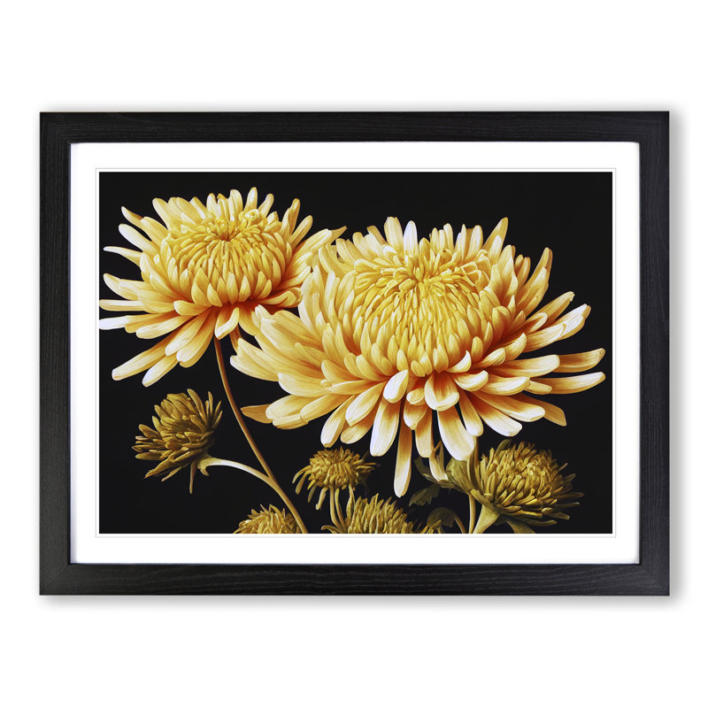 Astonishing Chrysanthemum Flowers 1 Piece Single Picture Frame Wall Art, 25cm H x 34cm W, Black
