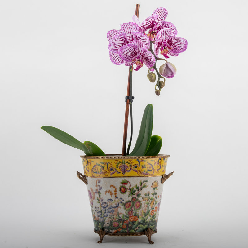 Handmade Pot Planter