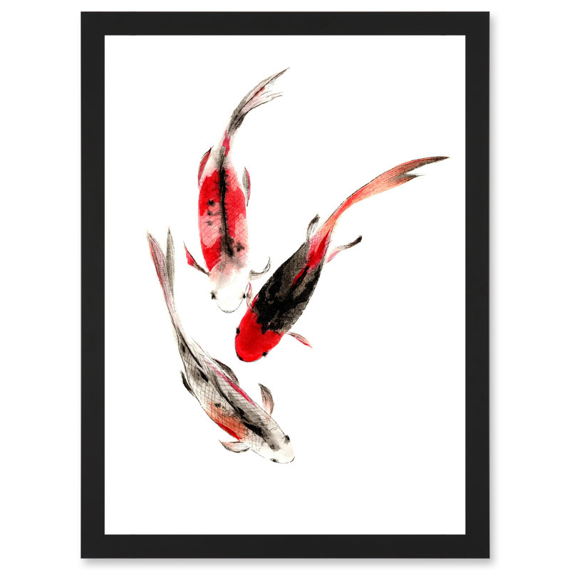 Japanese Koi Fish Black And Red Swimming - Single Picture Frame Art Prints