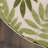 Nivia Floral Indoor/Outdoor Area Rug-943384259