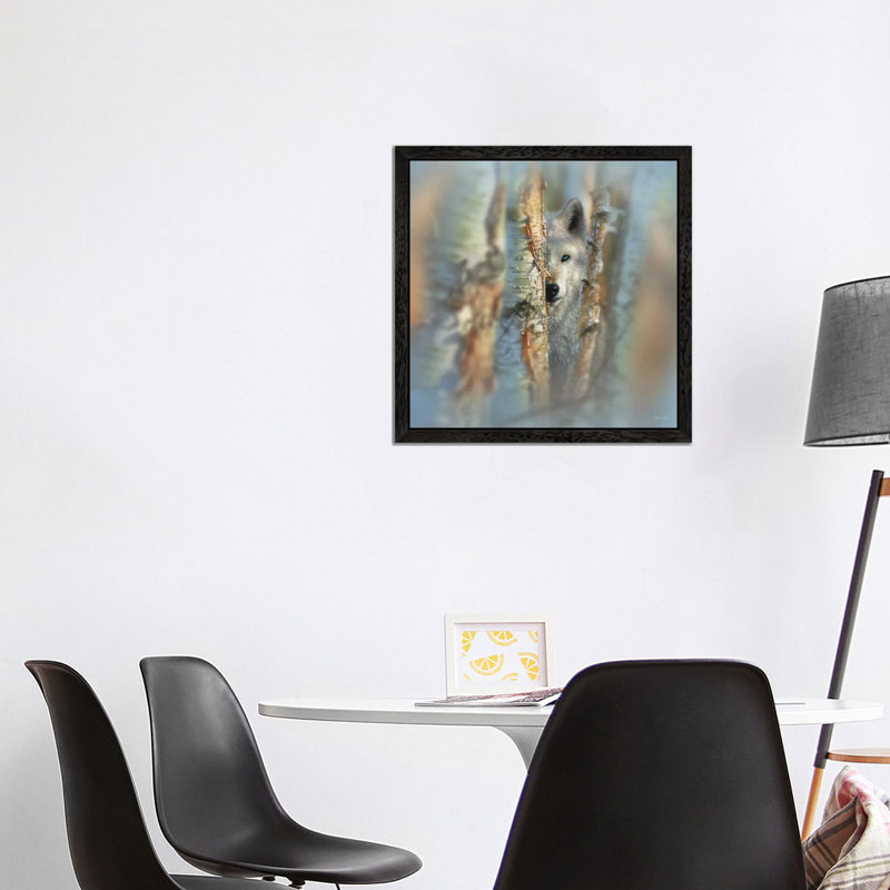 Focused - White Wolf by Collin Bogle - Print on Canvas, 93.98 cm H x 93.98 cm W, Black Framed
