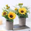 2 pièces Simulation en pot de fleurs artificielles décoratives petit bonsaï, plante artificielle en pot