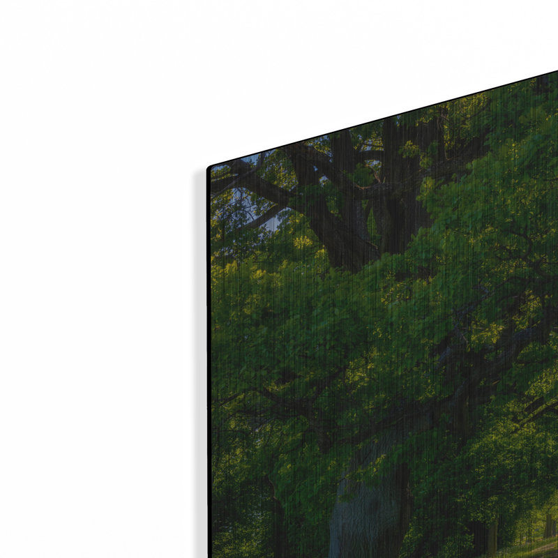 «Summer Morning In The Park» par Nicklas Gustafsson, H 24 po x l 48 po
