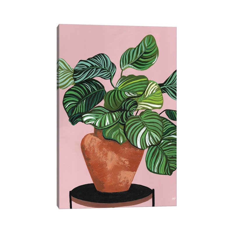 Calatheas by Bria Nicole - Print on Canvas, 20.32 cm H x 30.48 cm W, Wrapped Canvas