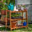 Etting 3-Tier Brown Meranti Wood Outdoor Plant Stand Garden Shelf