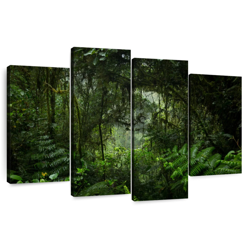 Alvord Rainforest Tunnel