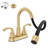 NO 2-handle Bathroom Faucet with Drain Assembly-97618760