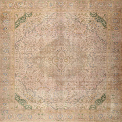 Amryis Performance Oriental Indoor Rug