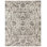 Carrera Oriental Area Rug