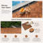 Carreaux de terrasse en bois d'acacia emboîtable de qualité supérieure, ensemble de revêtement de sol brun 27 pièces