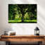 Arbre Harnek-107677808