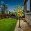 60'' Faux Eucalyptus Tree