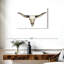 Crâne Kerner Longhorn-107688158