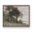 Noyer