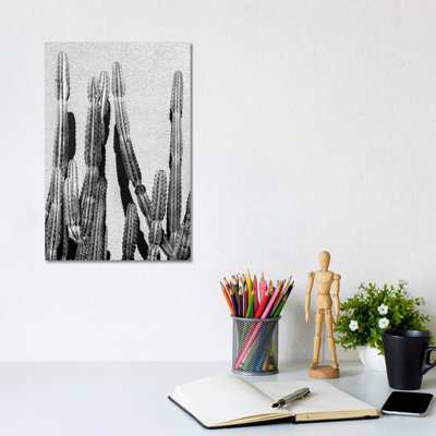 Cactus 1 Piece Wrapped Canvas Wall Art