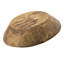 Parquet rond Molly, texture sculptée à la main, bois massif brun 19 po