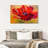 Delicate Red Poppy-1564655921