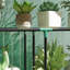 3 Tier Mini Greenhouse Reinforced PE Cover 100 x 40 x 150cm-1273929230