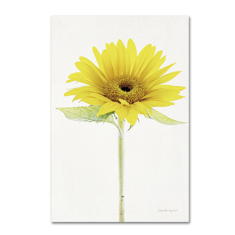 Nicodemus «Light and Bright Floral VIII», reproduction d'impression sur toile tendue, H 32 po x l 22 po