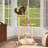 Durable 4-Tier Outdoor Cat Tree
