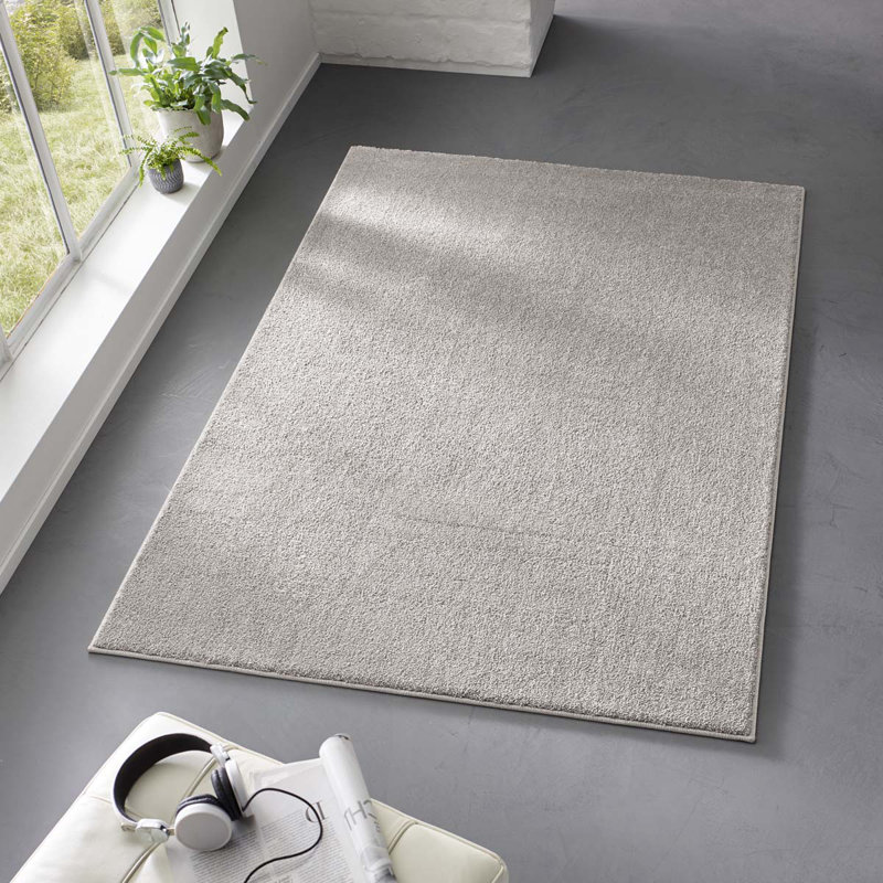 Alsfeld Solid Colour Hand Woven Area Rug, Rectangle 240 x 340cm