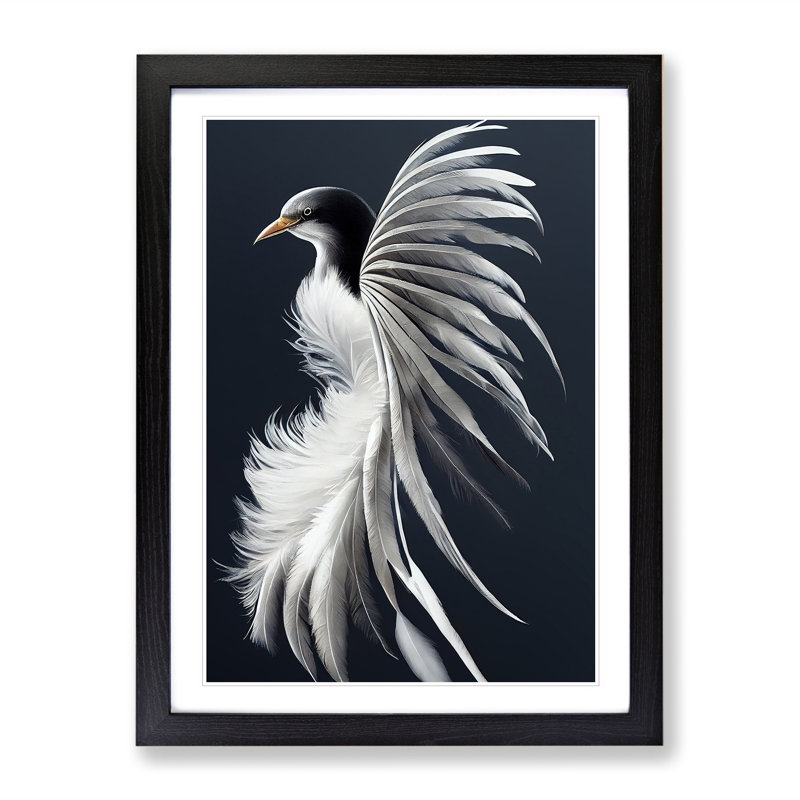 Feathers Of The Bird - Single Picture Frame Print, Black, 64cm H x 46cm W x 2cm D