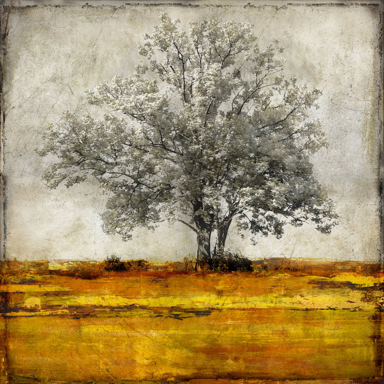 «Majestic», impression sur toile, H 12 po x l 12 po x P 0,75 po, Toile tendue, Pas de tapis