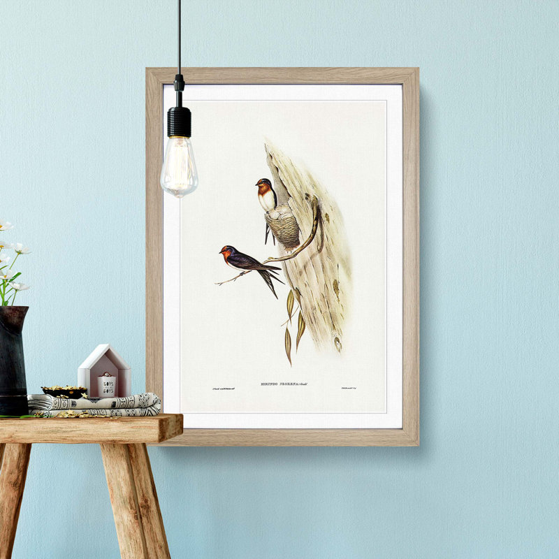 Welcome Swallows by Elizabeth Gould - Framed Print, 65cm H x 48cm W x 2cm D, Oak Framed