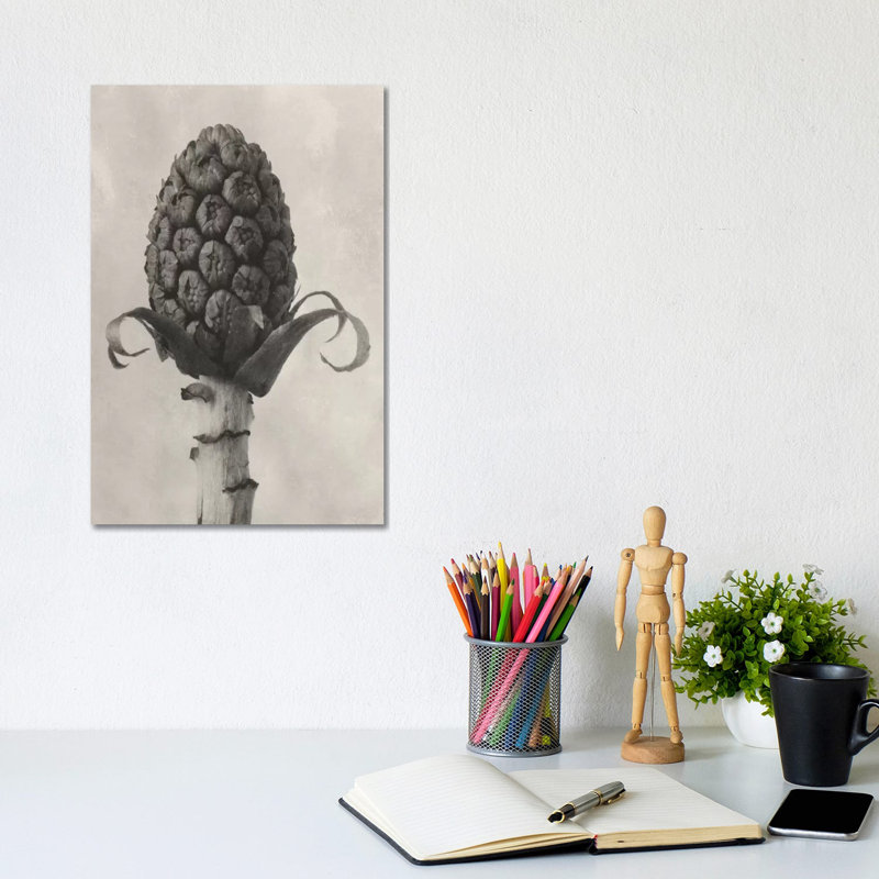Blossfeldt Botanical IV by Karl Blossfeldt - Wrapped Canvas Print, 30.48cm H x 20.32cm W x 1.91cm D