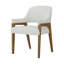 Delray Dining Arm Chair-1560894381