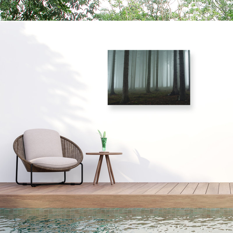 Toile d'extérieur David Charouz Foggy Forest, H 22 po x l 32 po