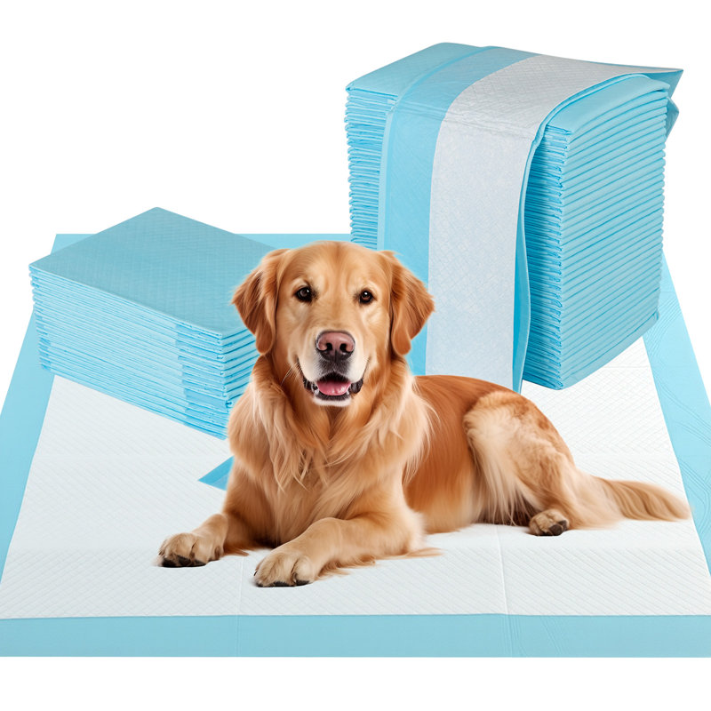 Coussins de dressage pour chien 36 po x 36 po (100 points)