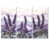 Wrapped Canvas n'est pas disponible