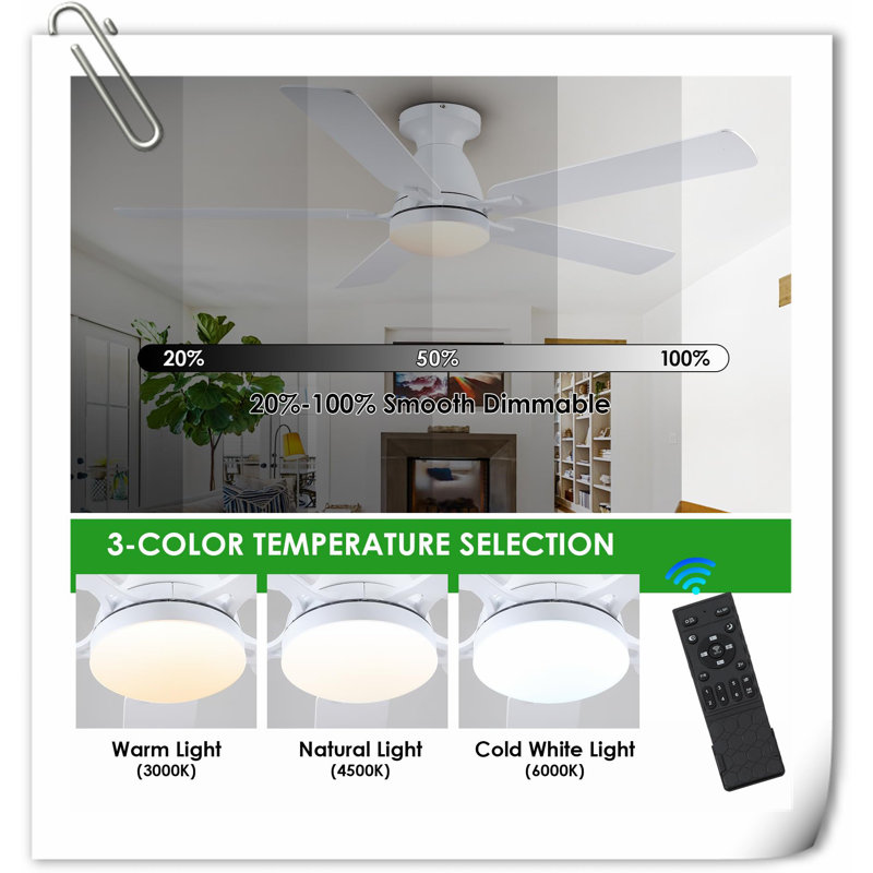 Museau Ceiling Fan with LED Lights