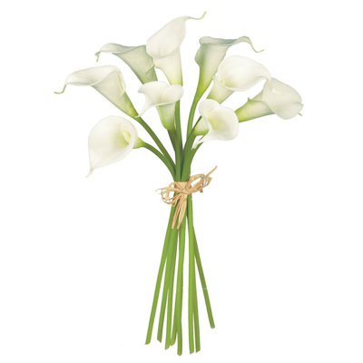 Raelynn Calla Lily