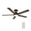 Ventilateur de plafond 52 po avec télécommande et lumière noire Smart DC