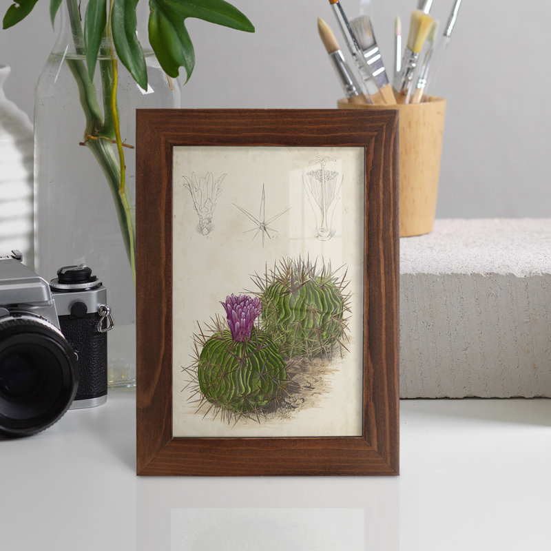 Cactus antique II - impression encadrée avec verre, H 6 po x l 4 po x P 1 po, Châtaigne