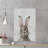 Bewildered Rabbits Thinking Rabbit Print on Wrapped Canvas-26825006